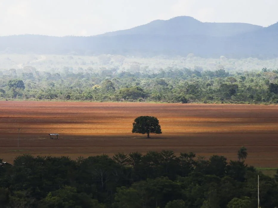 Especialistas discutem monitoramento e desmatamento do Cerrado