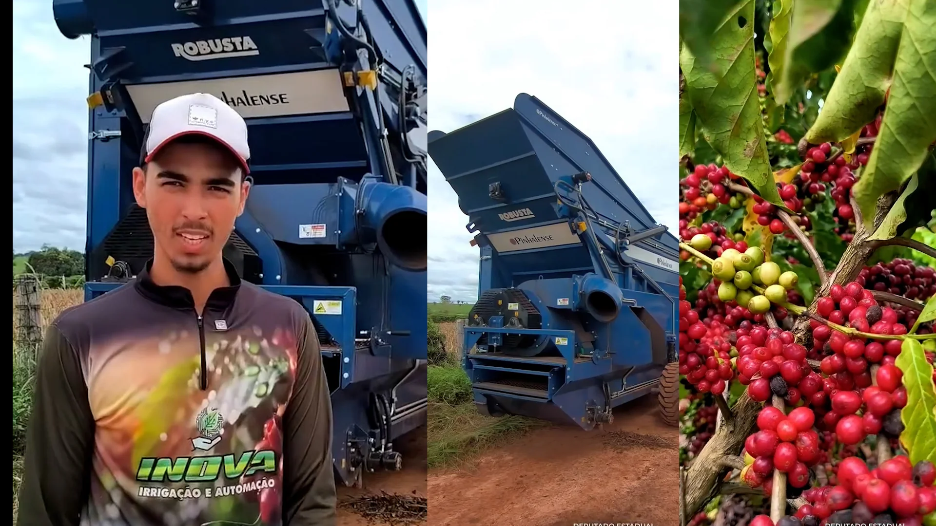 Colhedora de café de R$ 300 mil fortalece produção rural em Alta Floresta d’Oeste