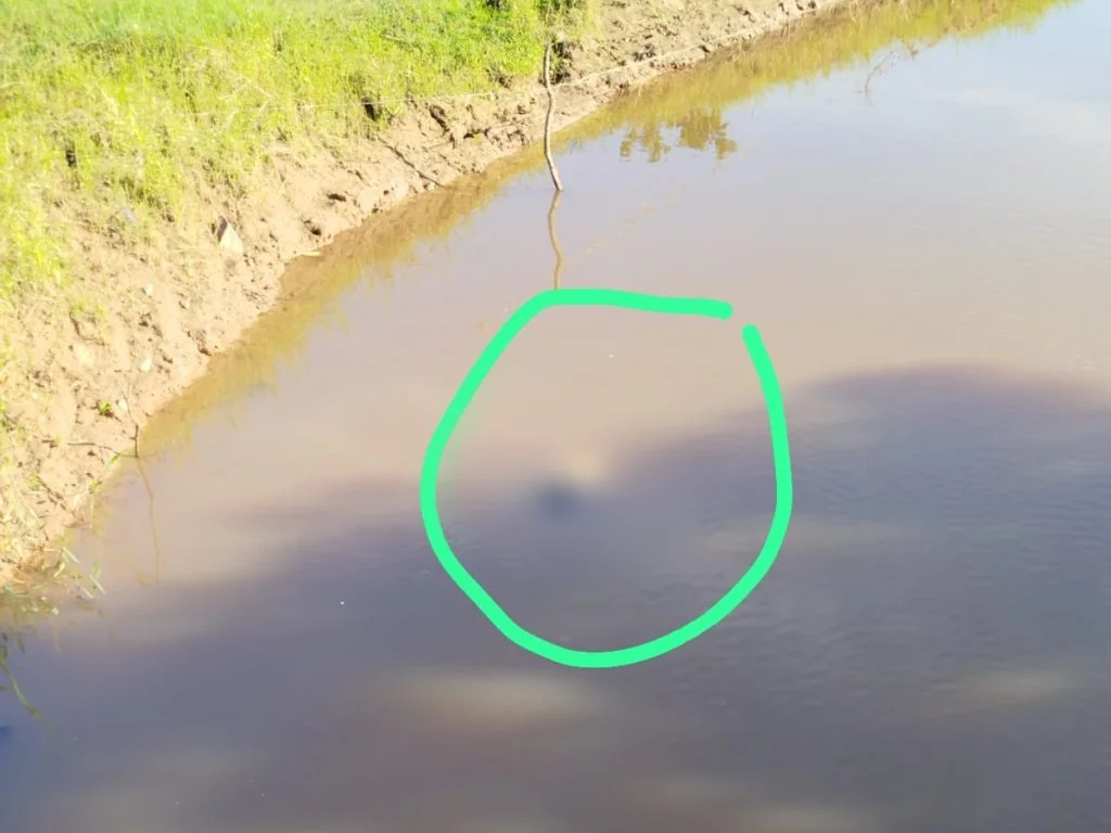 Corpo é encontrado no Rio Tiguí em Alta Floresta nesta segunda-feira