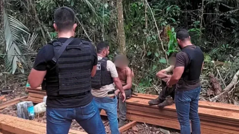 Nova Mamoré: dois homens são presos por exploração ilegal de madeira durante operação ambiental