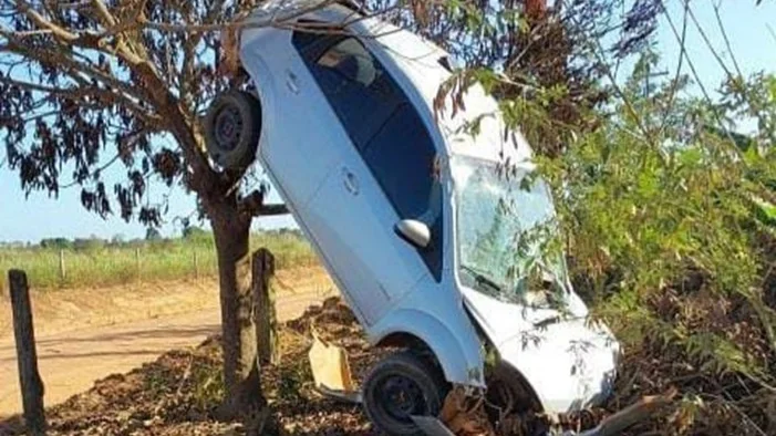 Acidente inusitado: Carro sobe em árvore após motorista perder o controle em distrito do Vale do Guaporé