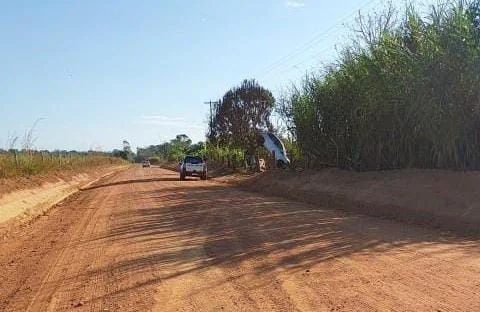 Acidente inusitado: Carro sobe em árvore após motorista perder o controle em distrito do Vale do Guaporé