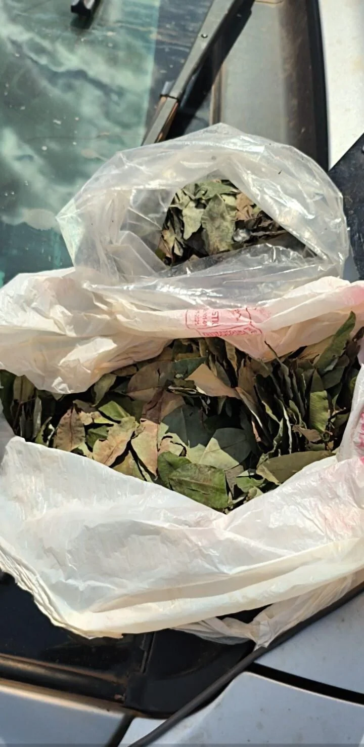 Homem é preso com duas armas de fogo, munições e folhas de coca durante operação policial na RO-135