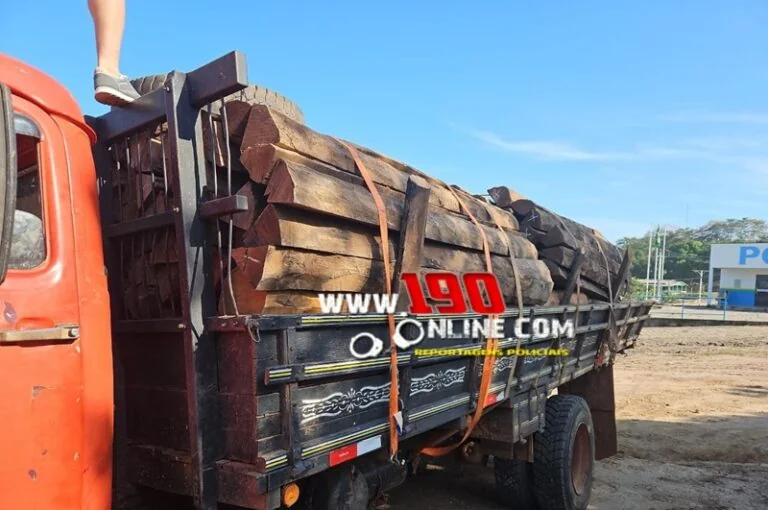 Caminhão é flagrado transportando lascas e mourões sem licença ambiental em Santa Luzia do Oeste