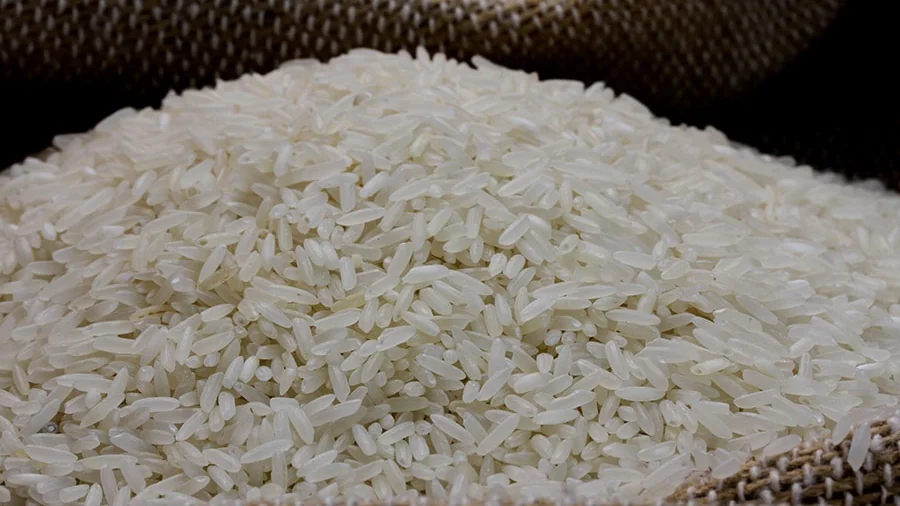 Disputa por arroz aumenta e saca chega perto de R$ 90 no RS