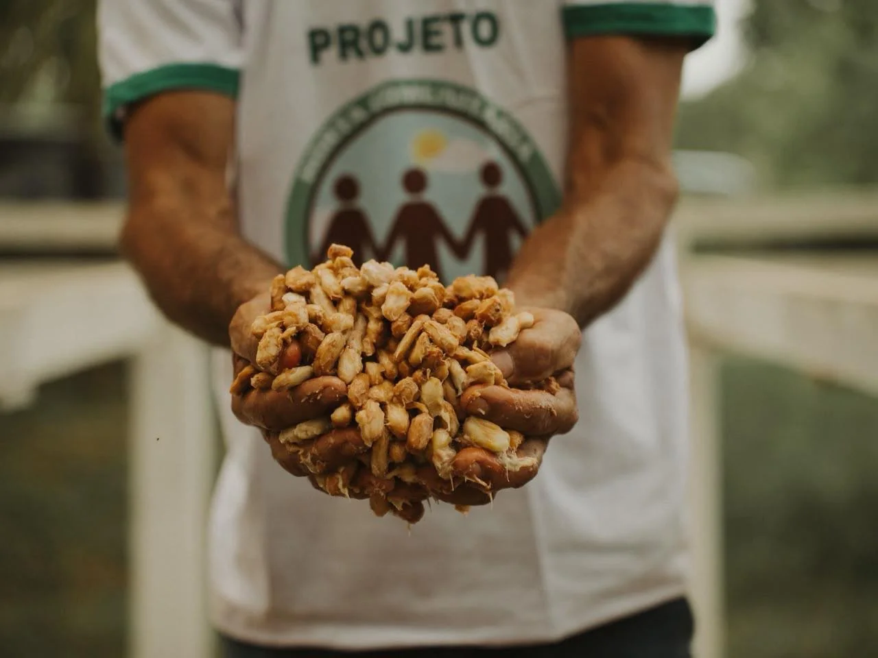 Mapeamento revela potencial da bioeconomia em Ji-Paraná apesar de estar no arco do desmatamento