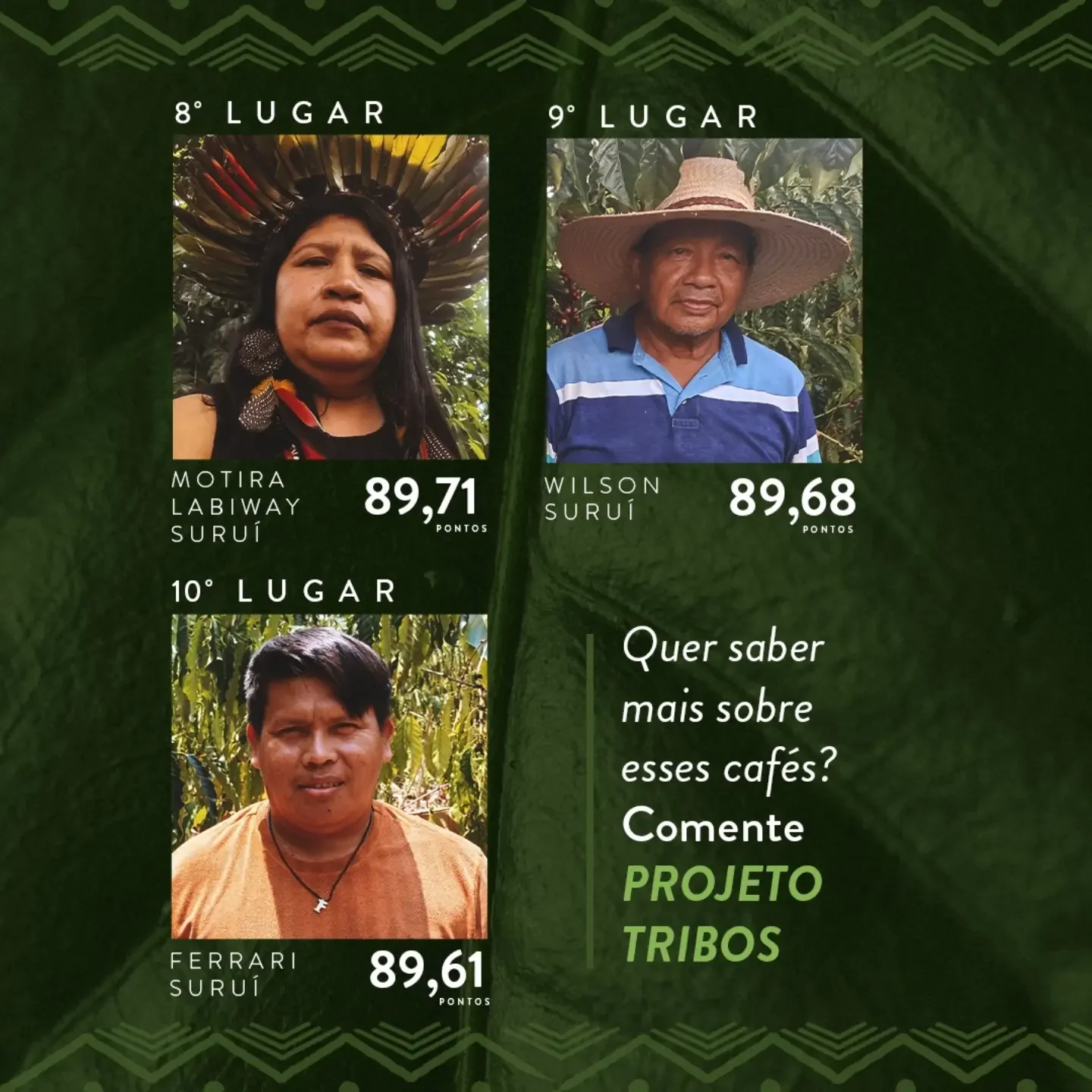 Café indígena de Rondônia conquista 91,11 pontos e vence 8º Concurso Tribos em Cacoal