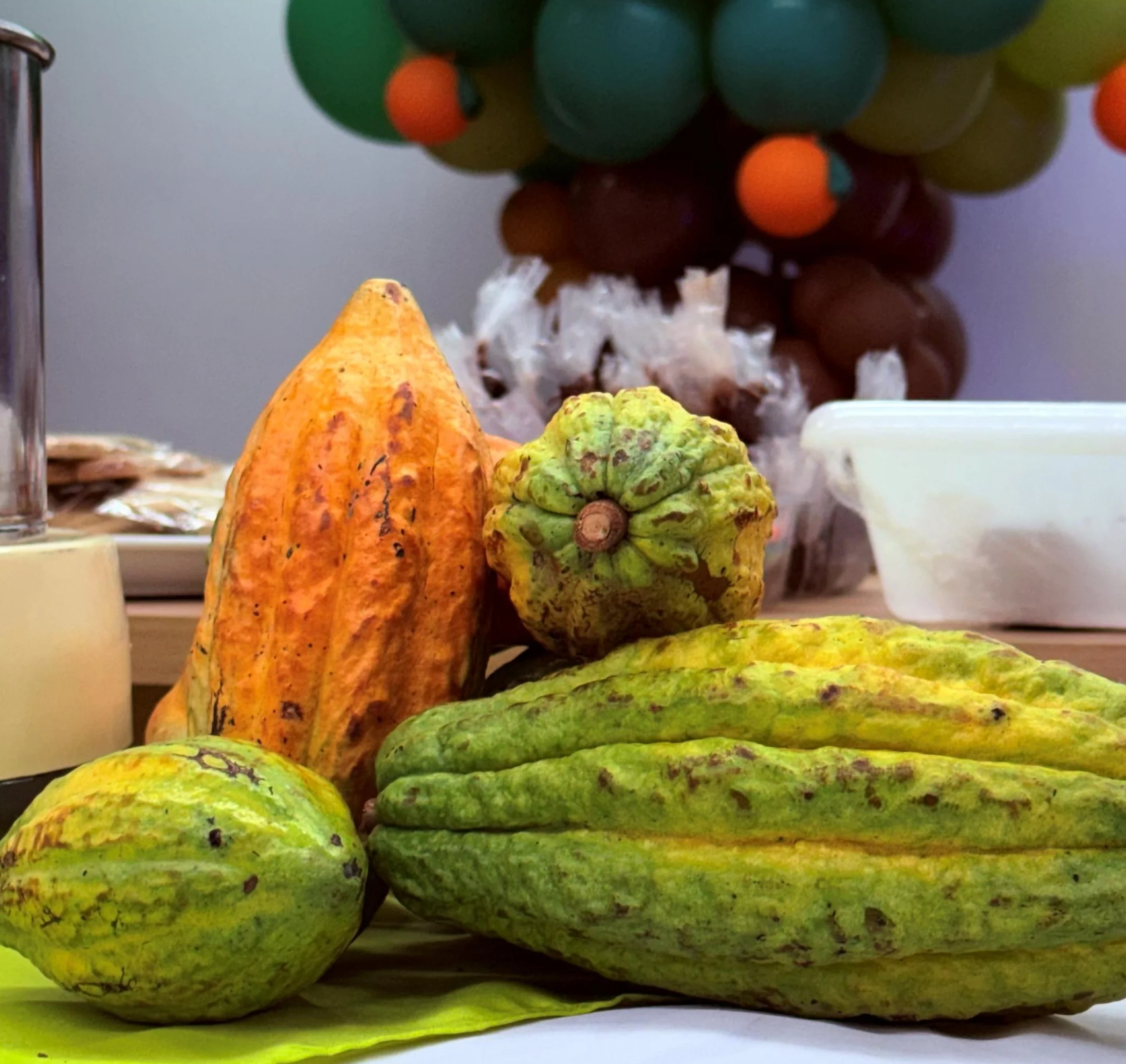 Oficina de Chocolate apresenta às crianças a riqueza do cacau de Rondônia em Ji-Paraná