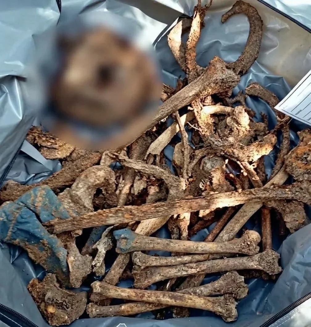Ossada humana é encontrada em área de mata em Ariquemes; objetos podem ajudare na identificação