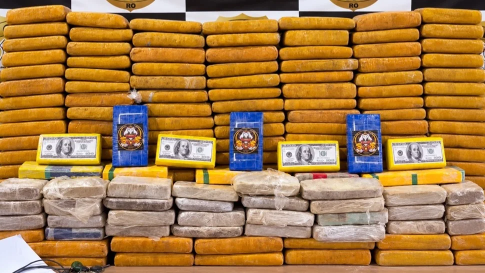 Polícia Civil apreende cerca de 244 quilos de drogas em Nova Mamoré