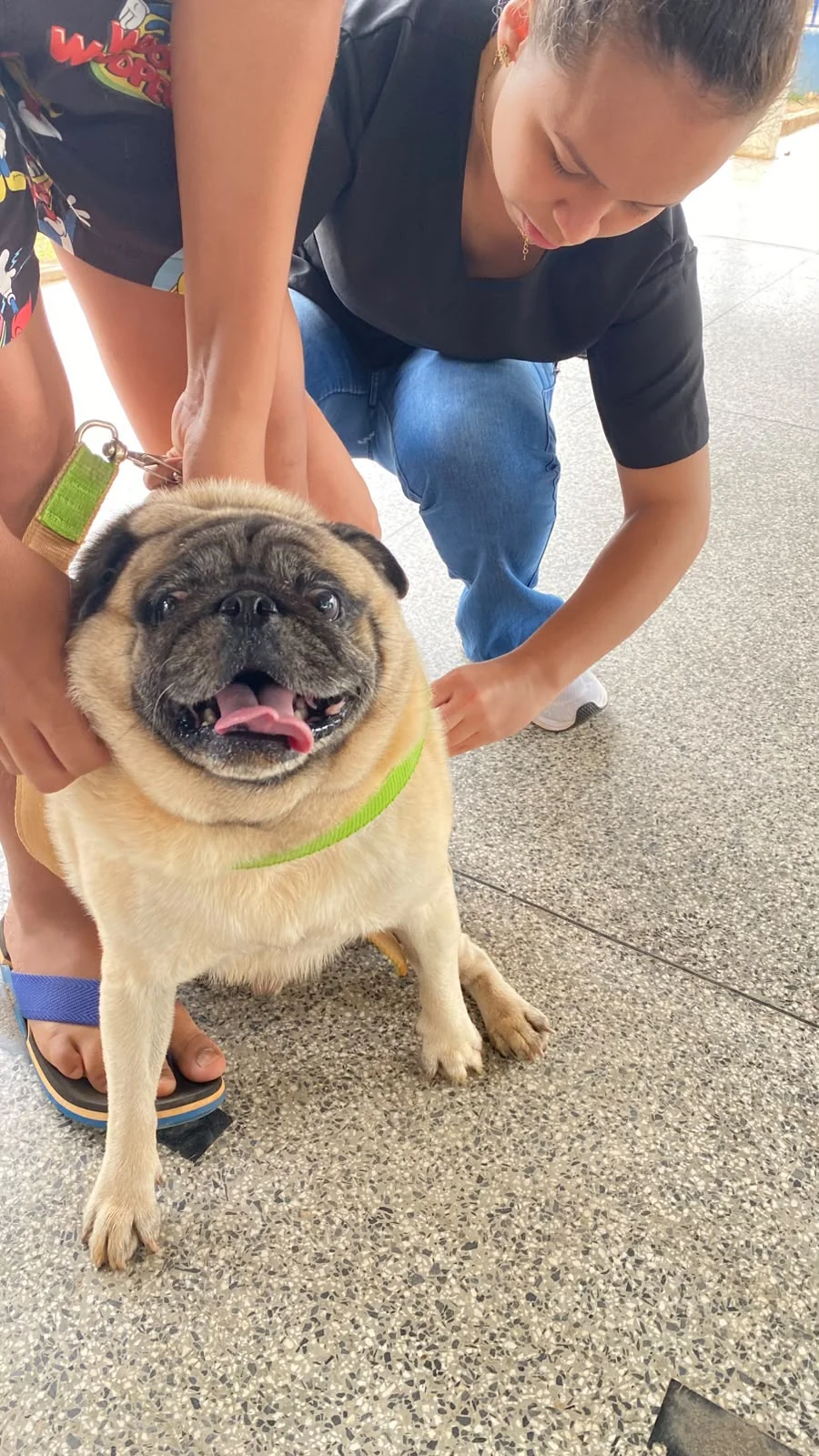 Prefeitura de Ji-Paraná vacina 7.918 cães e gatos contra a raiva no 1º distrito