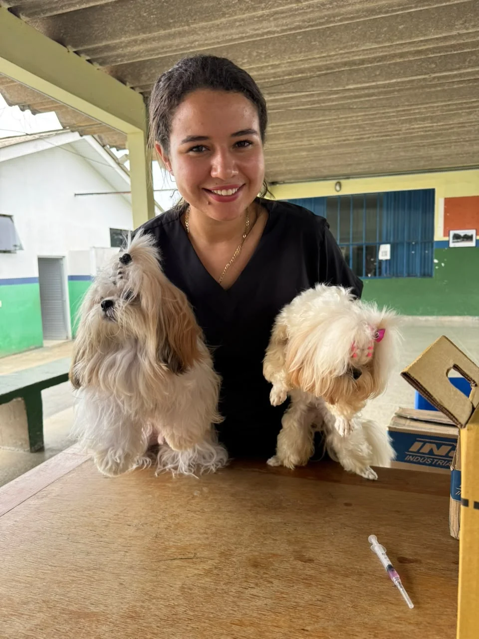 Prefeitura de Ji-Paraná vacina 7.918 cães e gatos contra a raiva no 1º distrito