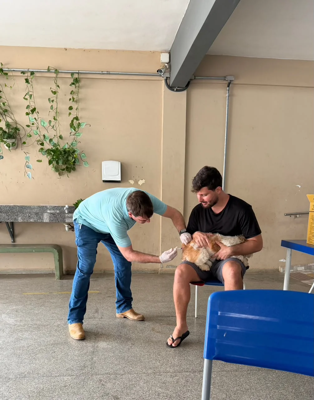 Prefeitura de Ji-Paraná vacina 7.918 cães e gatos contra a raiva no 1º distrito