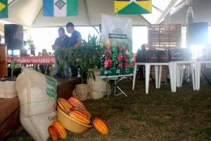 Ferreirinha Rezende parabeniza cacauicultor de Ouro Preto finalista do concurso nacional de cacau