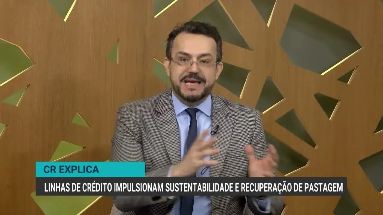 Linhas de crédito promovem sustentabilidade e recuperação de pastagens