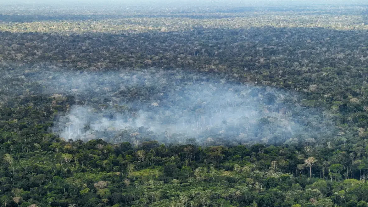 Estudo aponta atividade humana nas emissões de carbono na Amazônia